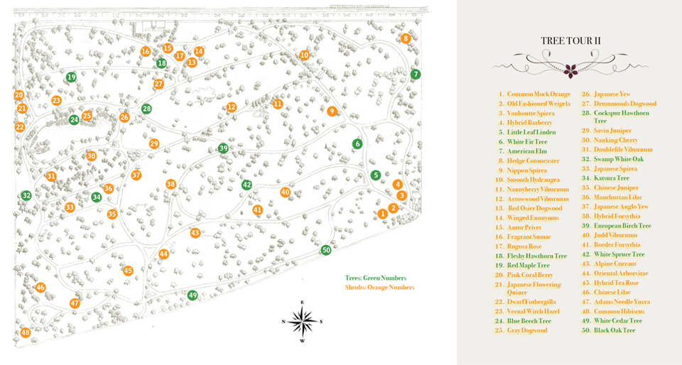 Graceland TreeMap2 960x514update